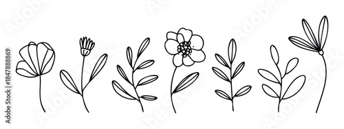 Collection of simple outline drawings of various flowers and branches with leaves, perfect for graphic applications and natural themes.