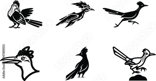 Vector graphics of desert birds with long tails and crests suitable for mascot creation and vinyl decal stickers.