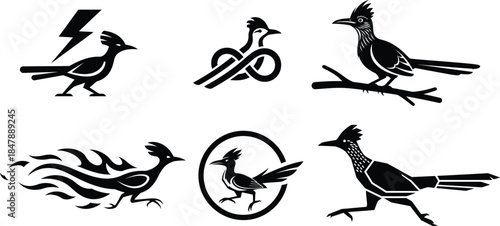 Roadrunner bird clip art bundle containing six unique poses from standing still to running fast for creative designers.