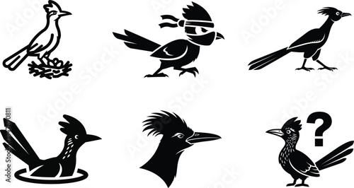 Detailed roadrunner bird sketches mixed with simplified icons for a complete graphic design kit focusing on desert wildlife.
