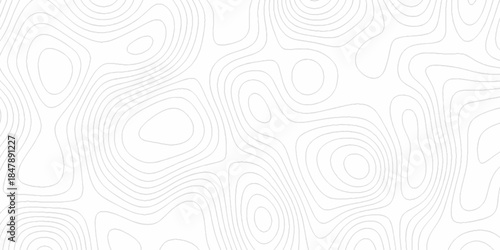 White wave paper curved reliefs abstract background, Abstract topographic contours map background. Black and white lines seamless Topographic map patterns, topography line map.