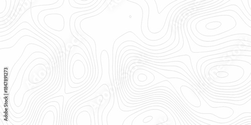 White wave paper curved reliefs abstract background, Abstract topographic contours map background. Black and white lines seamless Topographic map patterns, topography line map.
