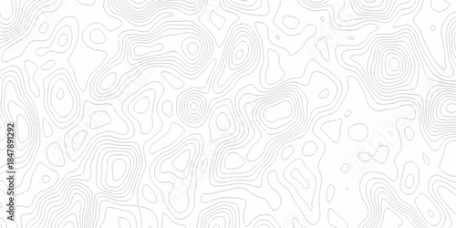 White wave paper curved reliefs abstract background, Abstract topographic contours map background. Black and white lines seamless Topographic map patterns, topography line map.