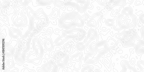 White wave paper curved reliefs abstract background, Abstract topographic contours map background. Black and white lines seamless Topographic map patterns, topography line map.