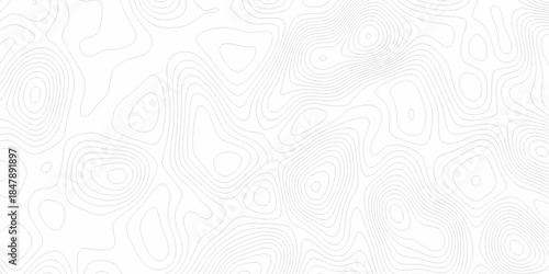 White wave paper curved reliefs abstract background, Abstract topographic contours map background. Black and white lines seamless Topographic map patterns, topography line map.