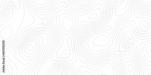 White wave paper curved reliefs abstract background, Abstract topographic contours map background. Black and white lines seamless Topographic map patterns, topography line map.