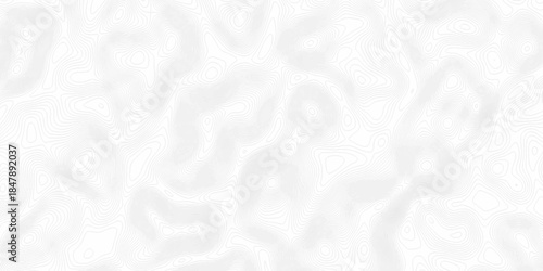White wave paper curved reliefs abstract background, Abstract topographic contours map background. Black and white lines seamless Topographic map patterns, topography line map.
