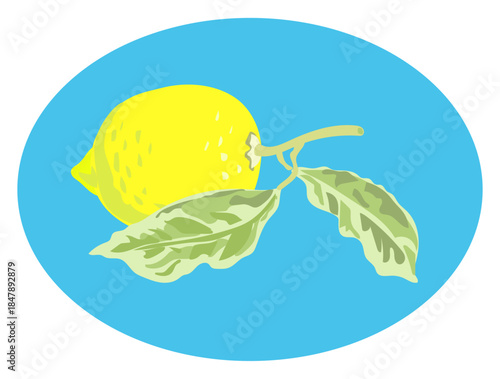 レモンをデザインしたイラスト