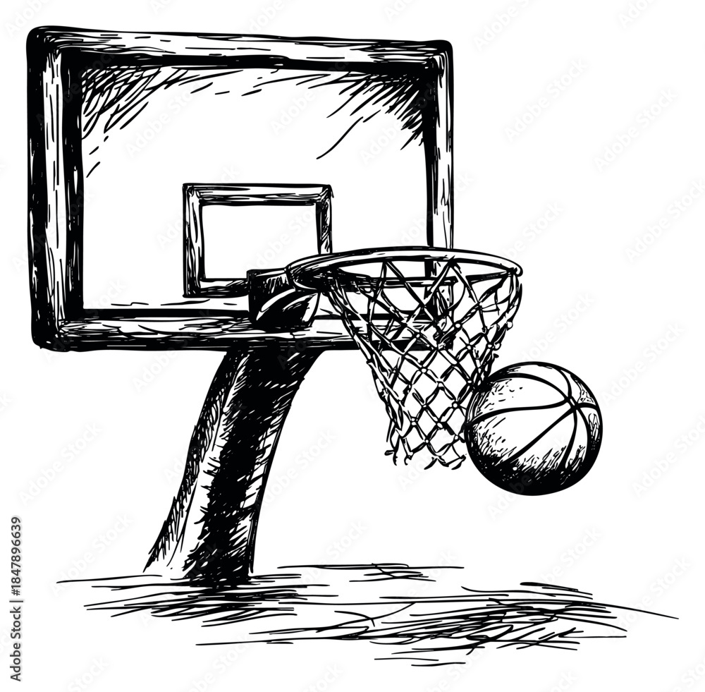 Fototapeta premium Basketball hoop and ball collection with net hand drawn sketch