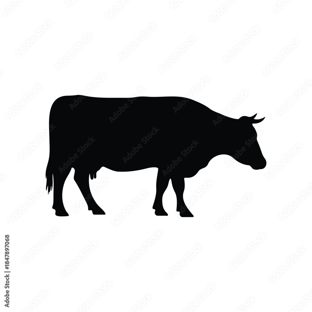 Fototapeta premium Cow silhouette vector flat design on white background.