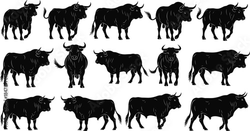 Big collection of black bull silhouettes standing and walking in different poses, vector illustration isolated on white background for farm logo or icon design.