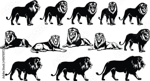 Collection of black and white lion vector silhouettes featuring standing, walking, and lying down poses, perfect for heraldry, mascots, tattoos, and logo design elements