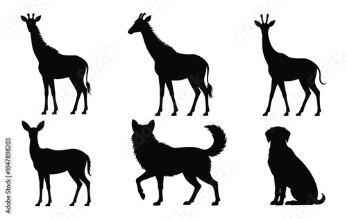Black Silhouettes of Giraffes Deer Wolf and Dog on White Background animal wildlife