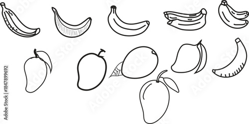 A collection of hand drawn banana and mango illustrations