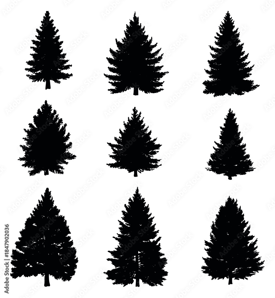 Fototapeta premium Pine tree silhouette set black and white flat vector