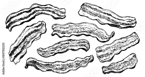 Bacon strip set with textured details hand drawn sketch