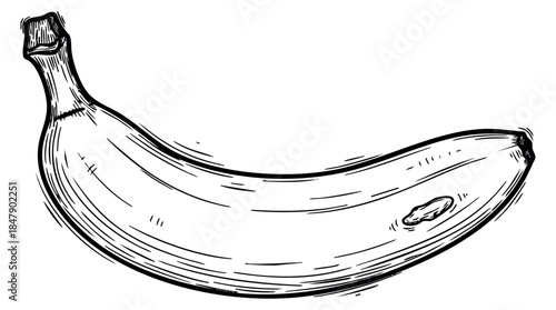 Banana illustration with detailed shading black and white line art