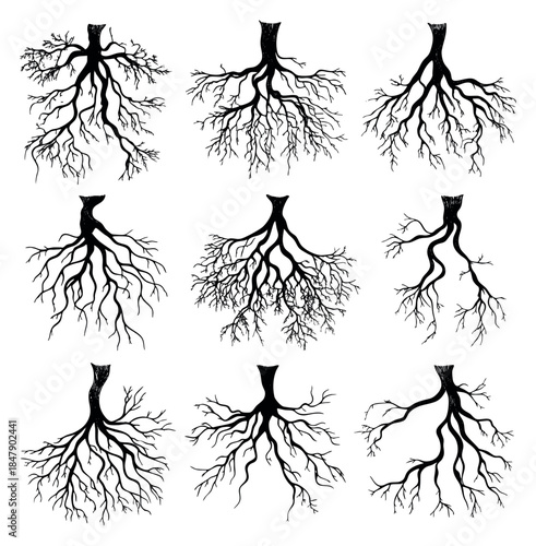 Simple tree root collection with various shapes black and white line art