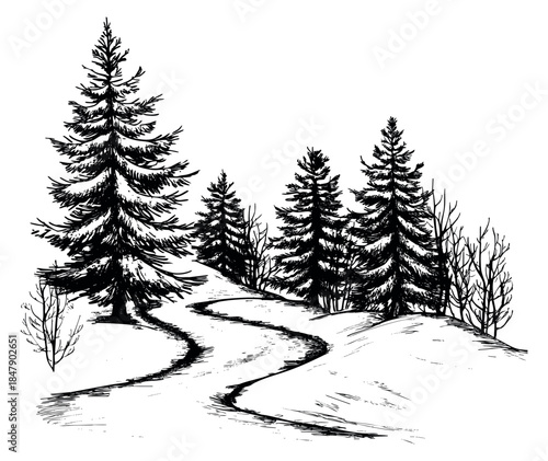 Winter forest set with pine trees and snow path hand drawn outline illustration