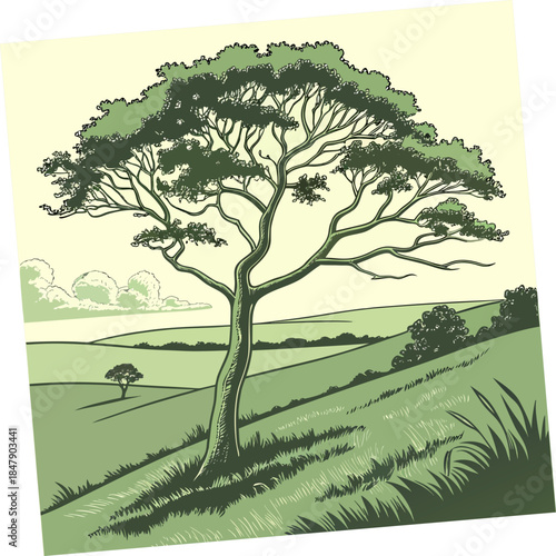 Large tree on green hillside with smaller tree and rolling hills