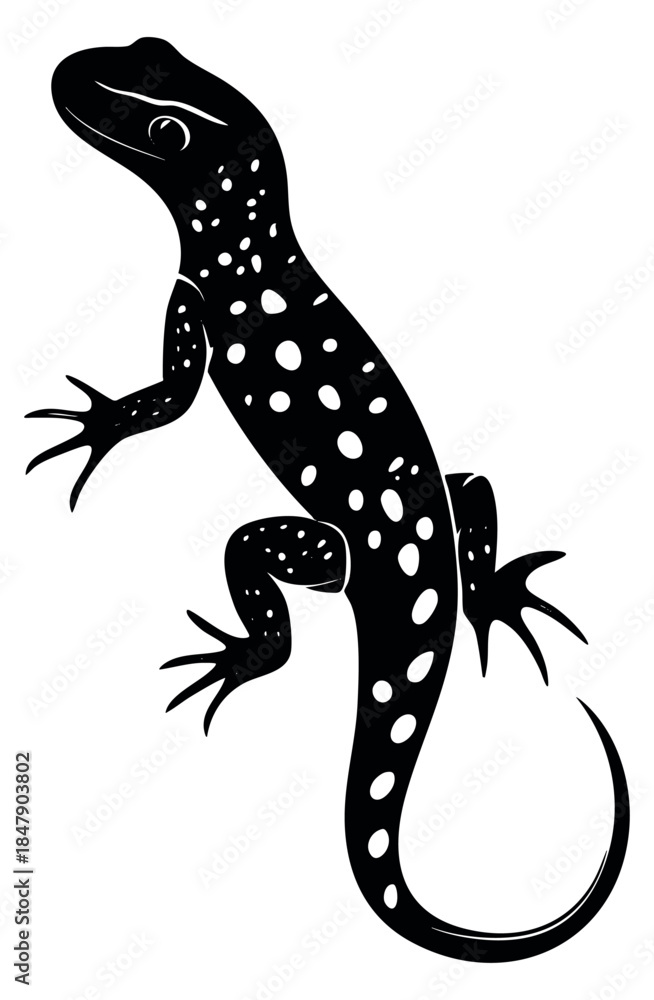 Fototapeta premium Lizard silhouette with spots black and white vector