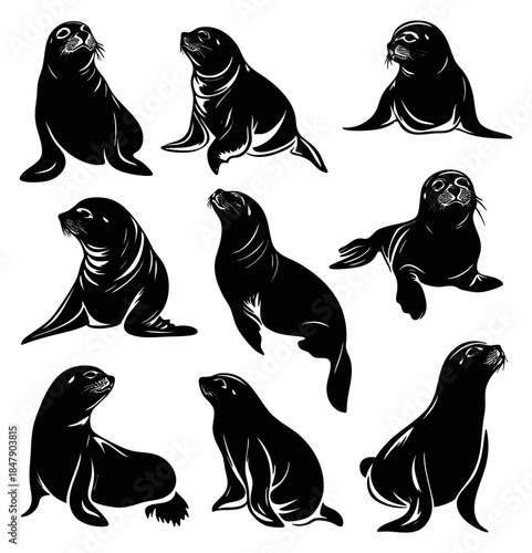 Sea lion icon set with various poses black and white line art