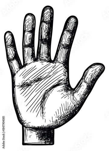 Hand drawn human hand illustration