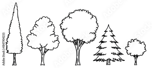 Hand drawn tree icon set with pine fir oak and leafy trees