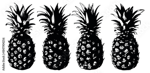 Black and white pineapple icon set with four fruits hand drawn outline illustration
