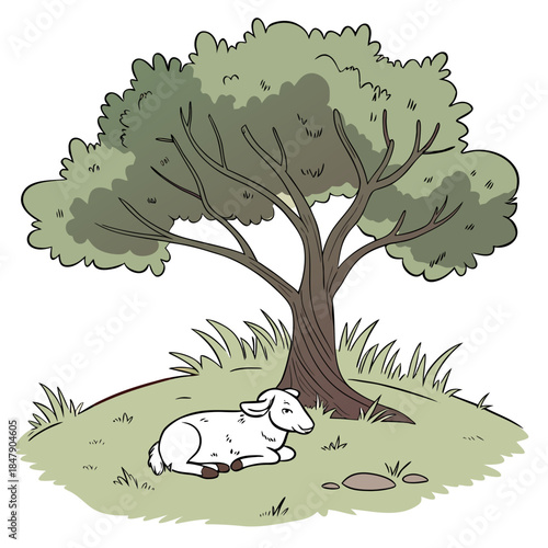 White lamb under tree with green leaves grass stones