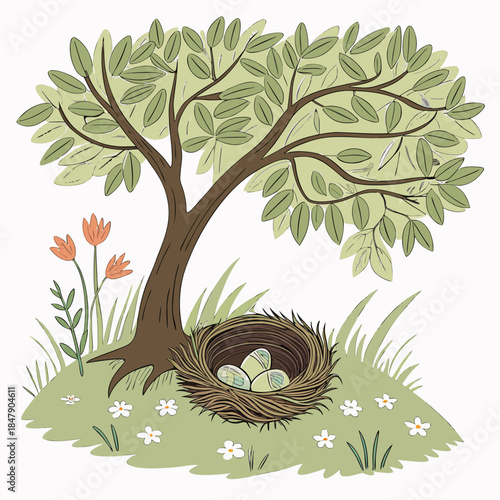 Bird nest with eggs under tree grass flowers
