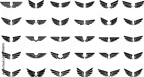 Collection of wing Vector 