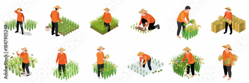 Isometric Illustration Various Farming Activities Process of Asian Farmer with Conical Hat