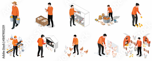 Isometric Detailed Man Raising Chicken and Egg Production Farm Activity Illustration