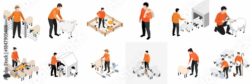 Isometric Detailed Shepherd Activities with Sheep Set Icon Concept Illustration