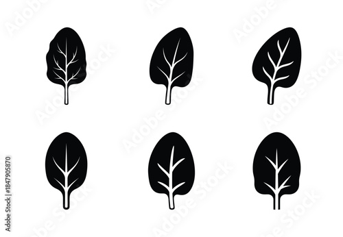 set of food spinach leaf silhouette icon vector illustration isolated on white background