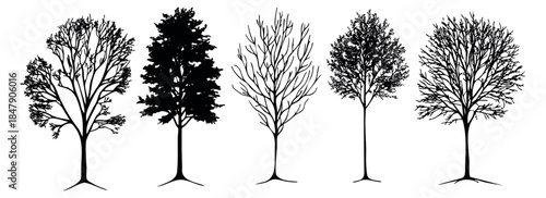 Tree silhouette icon set with bare and leafed branches black and white line art