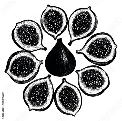 Vintage fig fruit set with whole and halved figs black and white line art