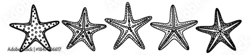 Starfish icon set with five different patterns black and white line art