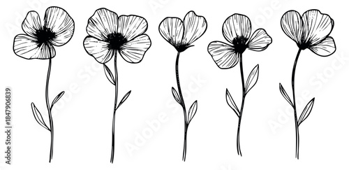 Simple flower set with petals and leaves black and white line art