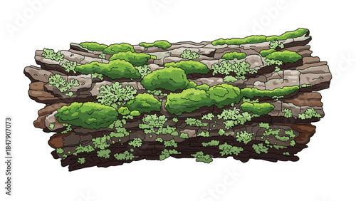 Detailed illustration of a weathered log covered in vibrant green moss and lichen, showcasing natural textures and organic growth.