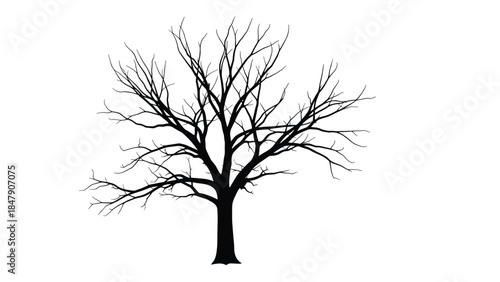 Silhouette of a bare tree stands prominently against a clean white background, evoking a sense of winter or dormancy.