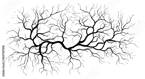 Black tree branch collection with thick and thin twigs minimalist flat vector