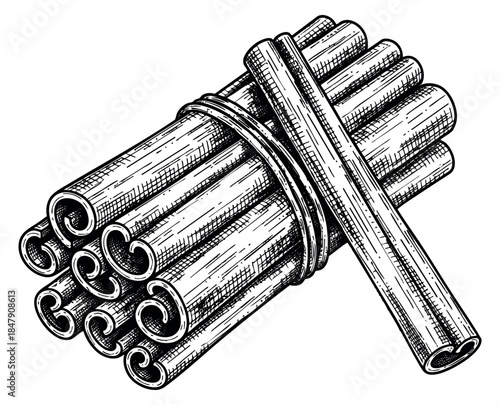 Hand drawn cinnamon sticks bundle illustration