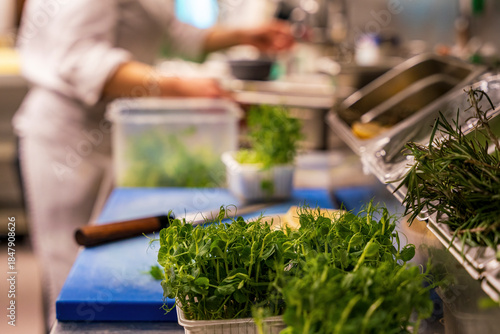 A view into a professional Bavarian kitchen which cook with fresh green vegetables