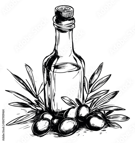 Olive oil bottle set with olives and leaves hand drawn sketch