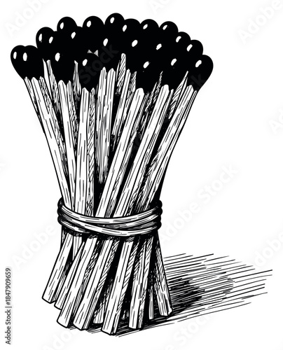 Vintage matchstick bundle collection with tied string hand drawn sketch