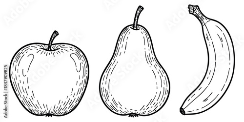 Fruit icon set with apple pear and banana hand drawn outline illustration
