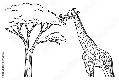Wild animal illustration set with giraffe and tree hand drawn outline illustration
