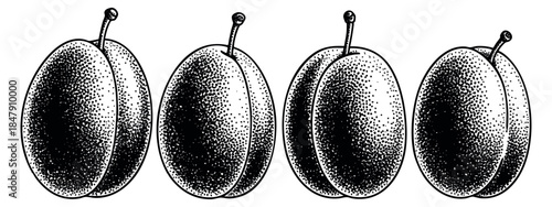 Vintage plum icon set with stem black and white line art